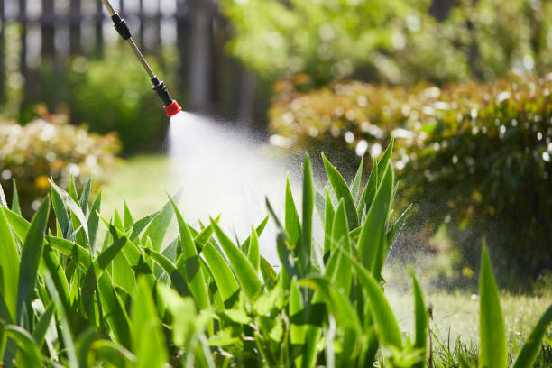 24/7 Emergency Wasp Removal experts in King Cove, AK